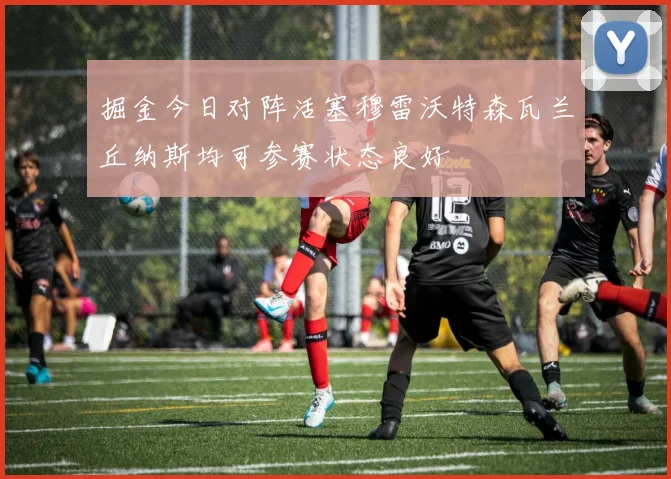 掘金今日对阵活塞穆雷沃特森瓦兰丘纳斯均可参赛状态良好