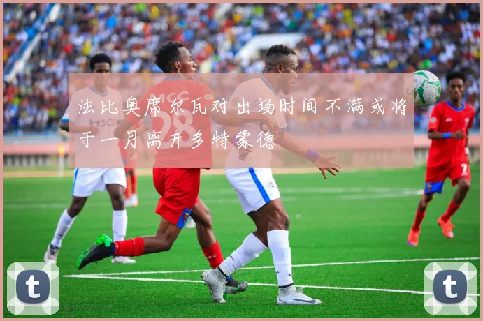 法比奥席尔瓦对出场时间不满或将于一月离开多特蒙德