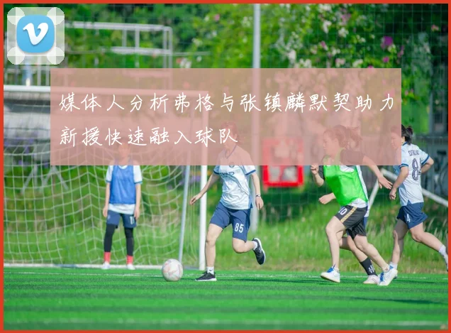 媒体人分析弗格与张镇麟默契助力新援快速融入球队