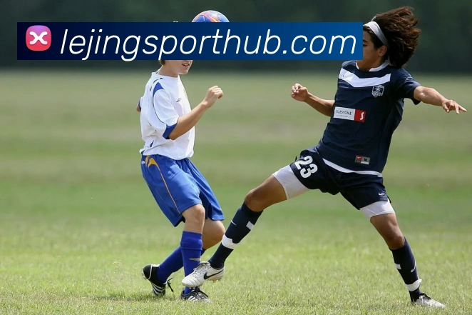 乐竟体育平台生态图